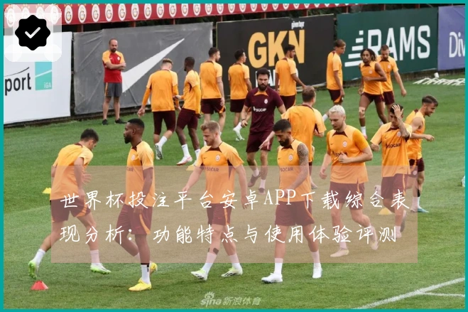世界杯投注平台安卓APP下载综合表现分析：功能特点与使用体验评测