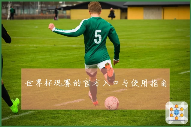 世界杯观赛的官方入口与使用指南