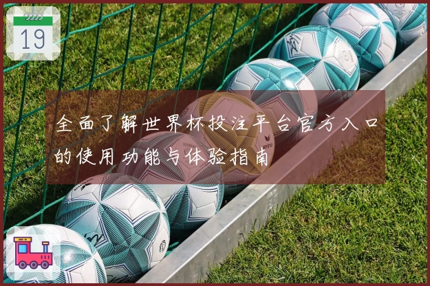 全面了解世界杯投注平台官方入口的使用功能与体验指南