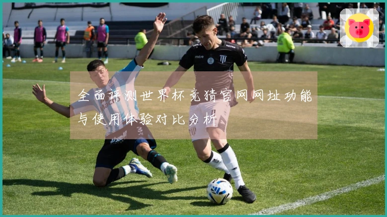 全面评测世界杯竞猜官网网址功能与使用体验对比分析