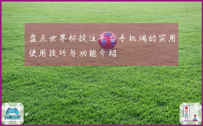 盘点世界杯投注平台手机端的实用使用技巧与功能介绍
