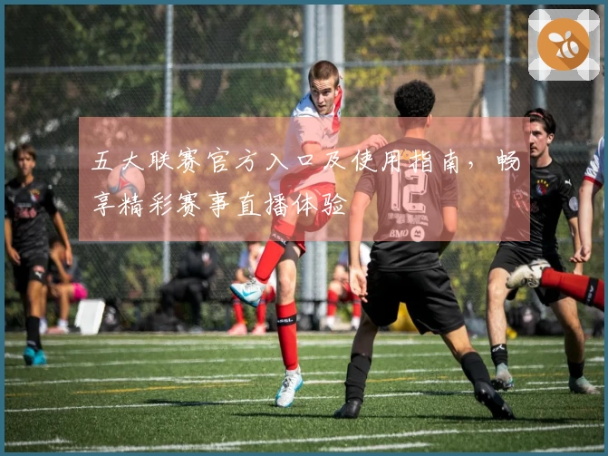 五大联赛官方入口及使用指南，畅享精彩赛事直播体验
