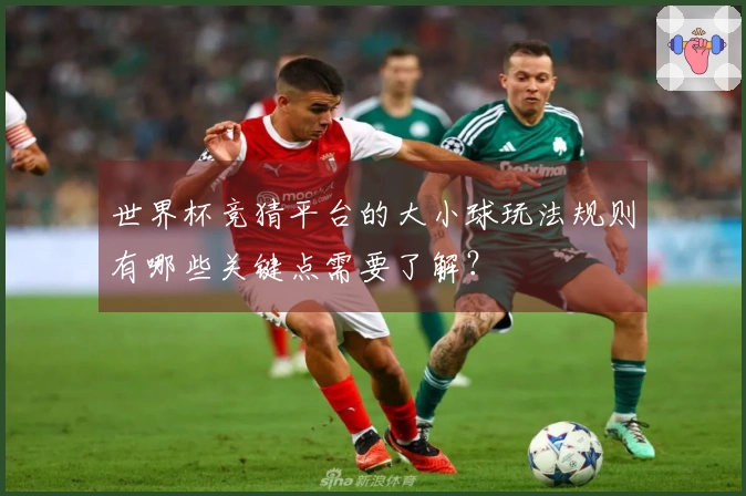 世界杯竞猜平台的大小球玩法规则有哪些关键点需要了解？