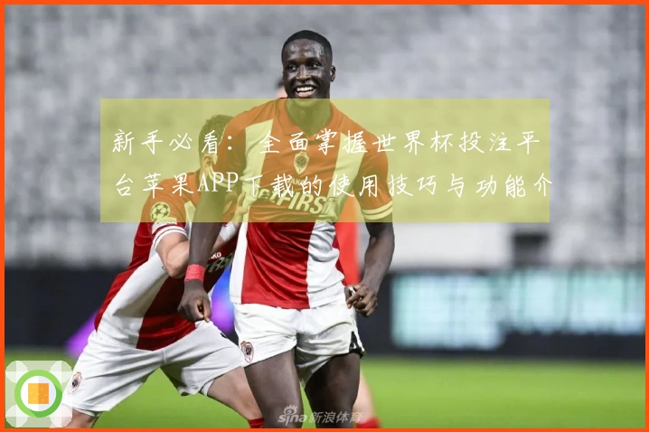 新手必看：全面掌握世界杯投注平台苹果APP下载的使用技巧与功能介绍