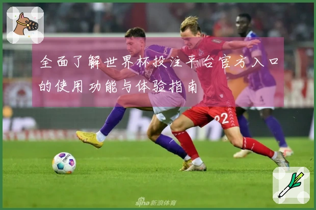 全面了解世界杯投注平台官方入口的使用功能与体验指南