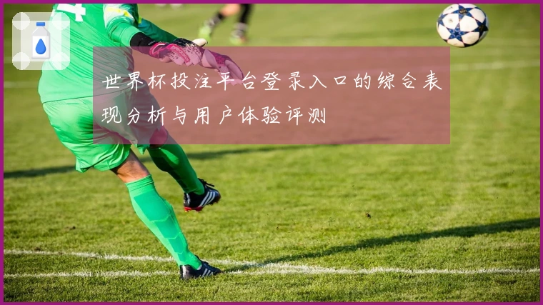 世界杯投注平台登录入口的综合表现分析与用户体验评测