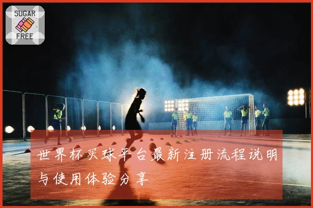 世界杯买球平台最新注册流程说明与使用体验分享