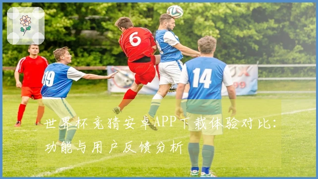 世界杯竞猜安卓APP下载体验对比：功能与用户反馈分析