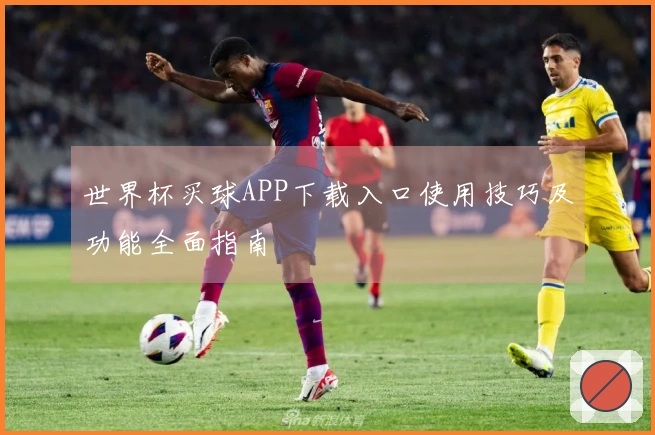 世界杯买球APP下载入口使用技巧及功能全面指南