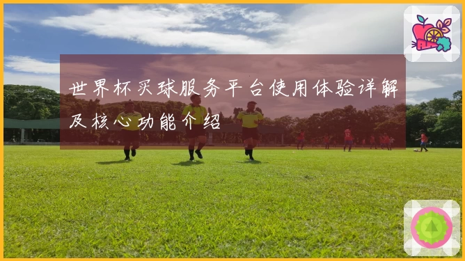世界杯买球服务平台使用体验详解及核心功能介绍
