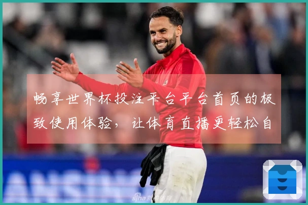 畅享世界杯投注平台平台首页的极致使用体验，让体育直播更轻松自在