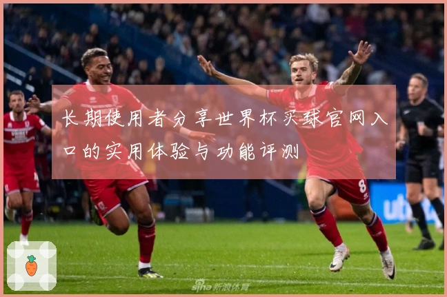 长期使用者分享世界杯买球官网入口的实用体验与功能评测