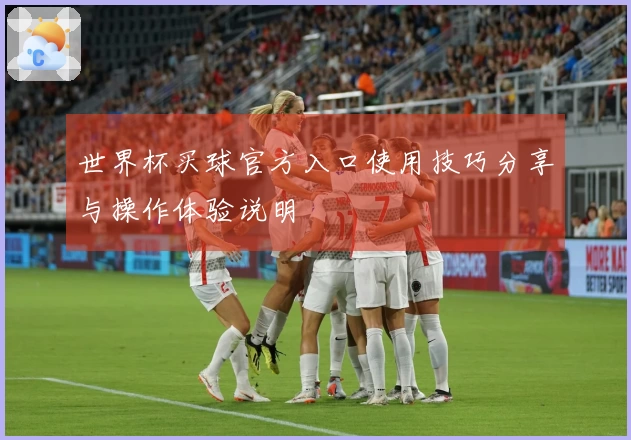 世界杯买球官方入口使用技巧分享与操作体验说明