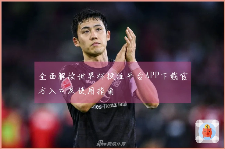 全面解读世界杯投注平台APP下载官方入口及使用指南