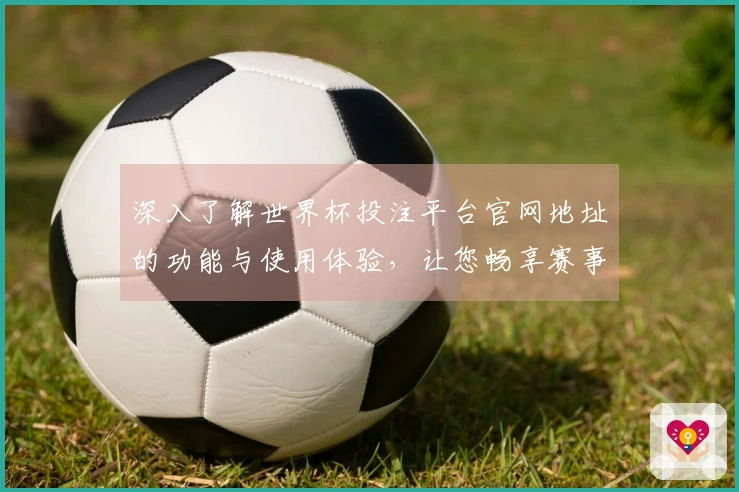 深入了解世界杯投注平台官网地址的功能与使用体验，让您畅享赛事盛宴