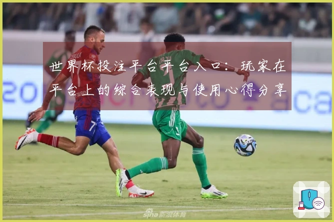 世界杯投注平台平台入口：玩家在平台上的综合表现与使用心得分享