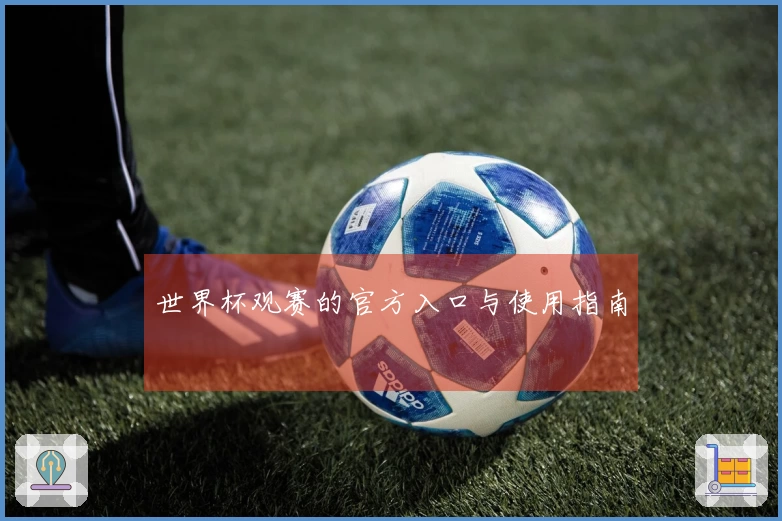 世界杯观赛的官方入口与使用指南