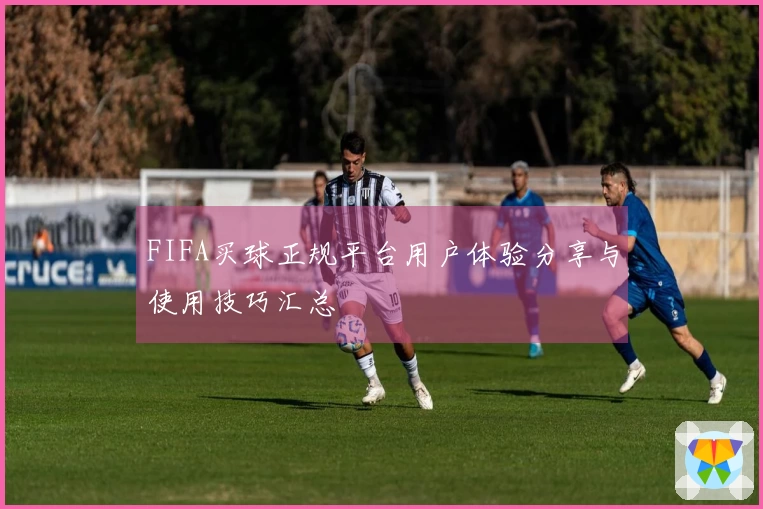 FIFA买球正规平台用户体验分享与使用技巧汇总