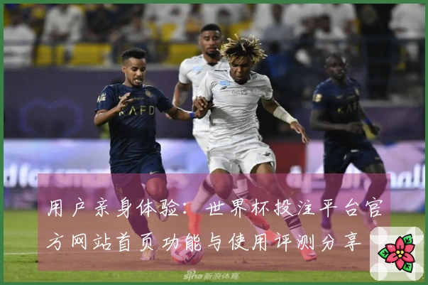 用户亲身体验：世界杯投注平台官方网站首页功能与使用评测分享