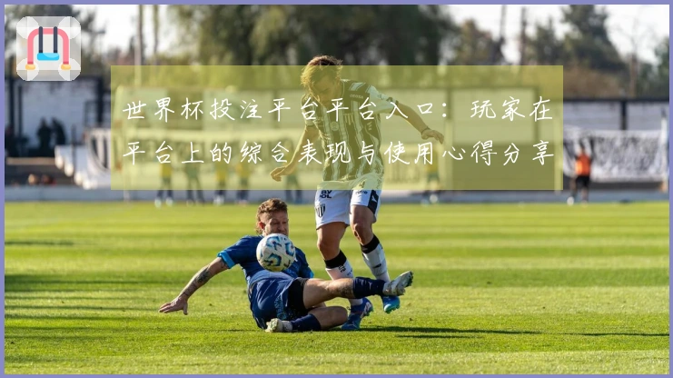 世界杯投注平台平台入口：玩家在平台上的综合表现与使用心得分享