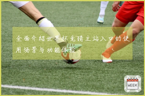 全面介绍世界杯竞猜主站入口的使用场景与功能体验