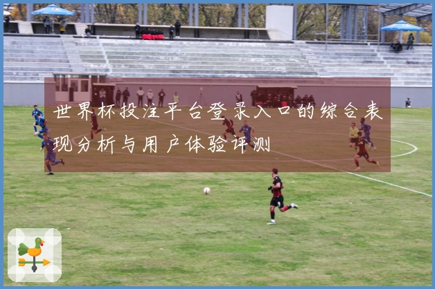 世界杯投注平台登录入口的综合表现分析与用户体验评测