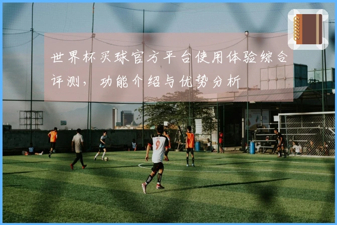 世界杯买球官方平台使用体验综合评测，功能介绍与优势分析