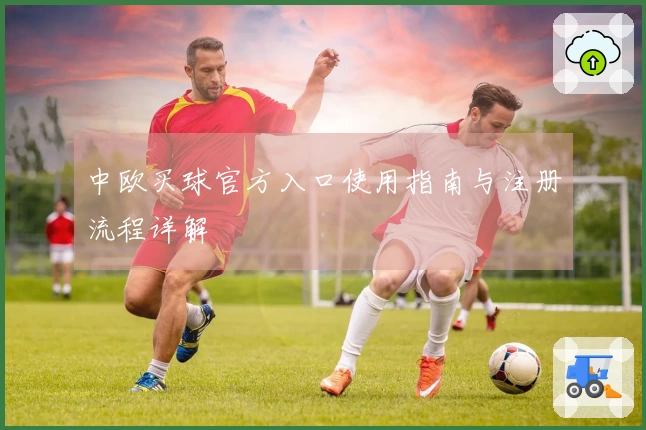 中欧买球官方入口使用指南与注册流程详解